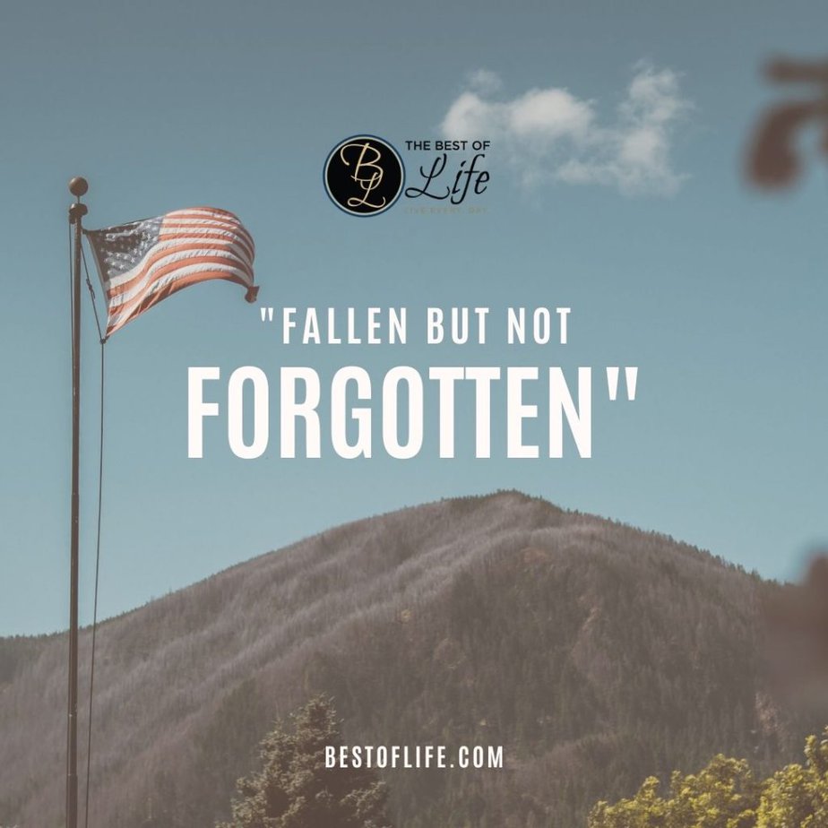 Memorial Day Quotes “Fallen but not forgotten.”