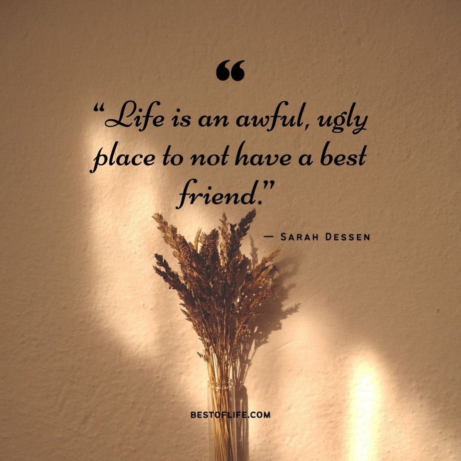 Friendship Quotes “Life is an awful, ugly place to not have a best friend.” -Sarah Dessen