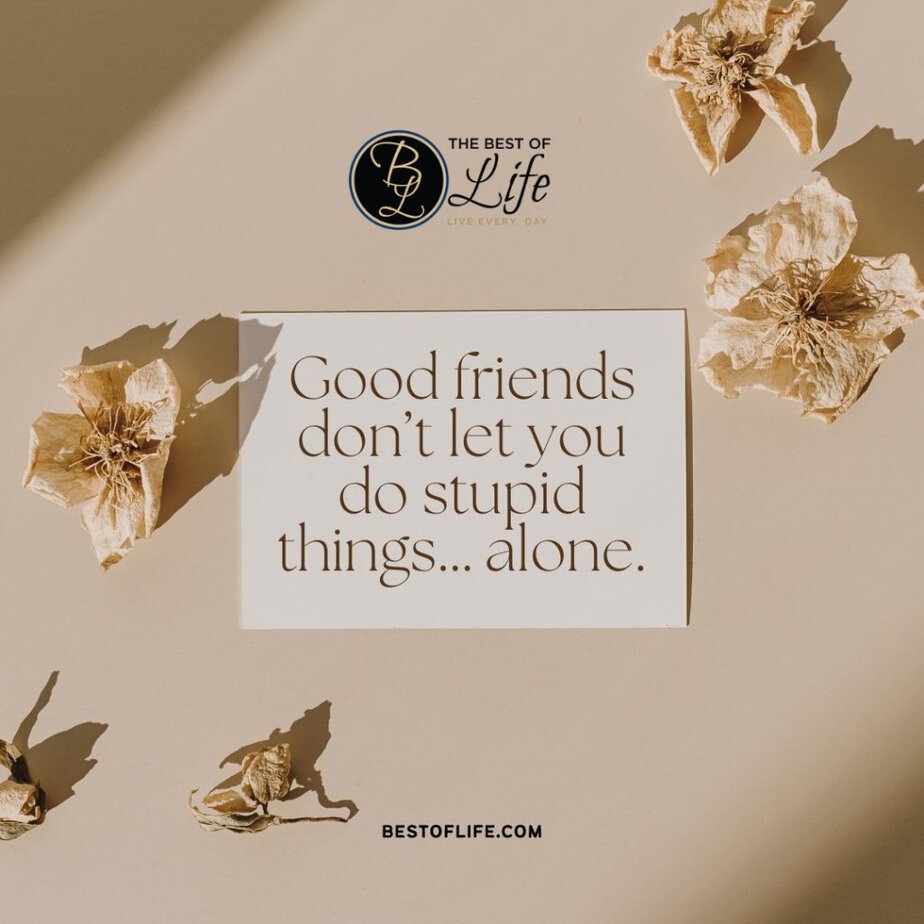 Friendship Quotes “Good friends don’t let you do stupid things…alone.”