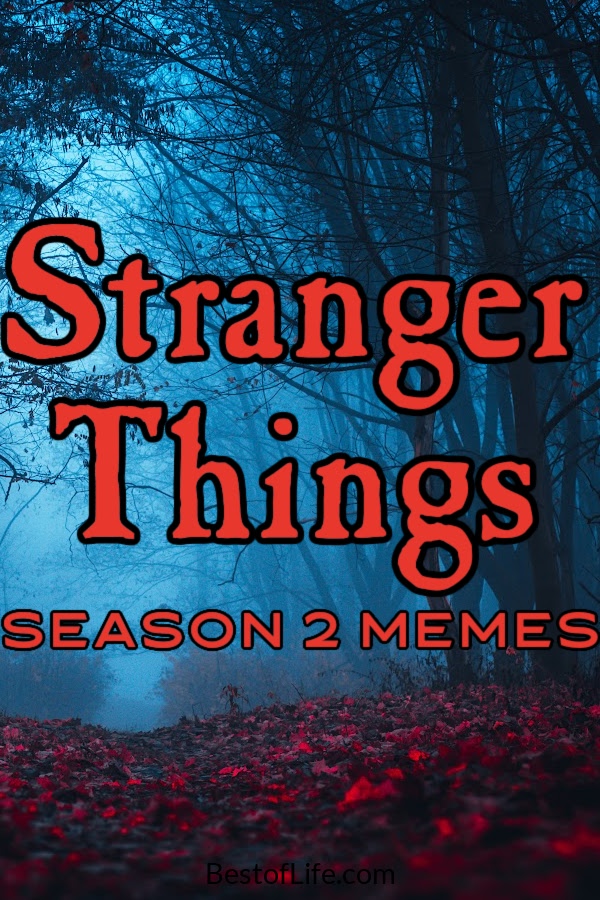 The best Stranger Things memes season 2 can help us all be Venkman this Halloween when we go trick or treating in the Upside Down. Stranger Things Memes | Stranger Things Season 2 Memes | Stranger Things Jokes | Netflix Memes | Memes from Stranger Things #strangerthings #memes via @thebestoflife