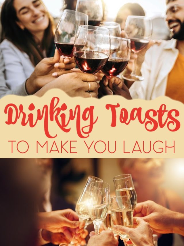 Best Funny Drinking Toasts