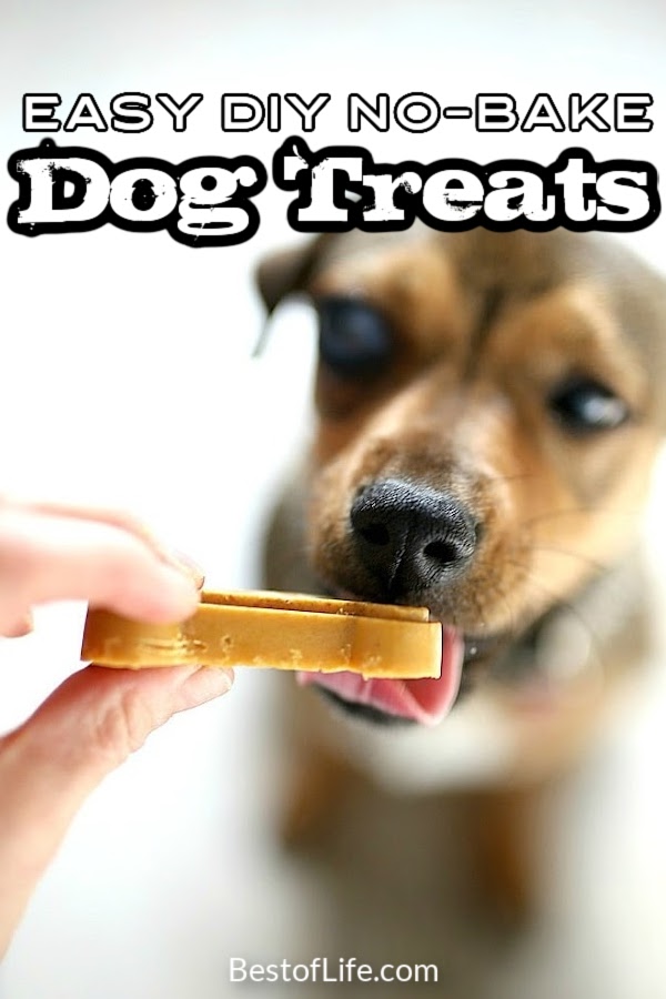 You can save a lot of money on dog treats when you learn how to make these healthy no bake dog treats right at home for your dog or cat. No Bake Dog Treats Without Peanut Butter | No Bake Dog Treats with Coconut Oil | No Bake Banana Dog Treats | 2 Ingredient Dog Treats | Dog Treat Recipes | Homemade Dog Treats | Cheap Dog Treats | Tips for Dog Owners | DIY Dog Treats | Recipes for Pet Owners | Recipes for Pets #dogtreats #petrecipes