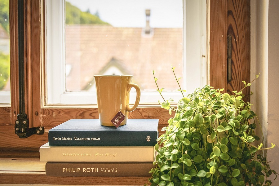 Chill Apartment Vibes Close Up of a Mug on a Stack of Books Next to a Small Plant on a Window Sill