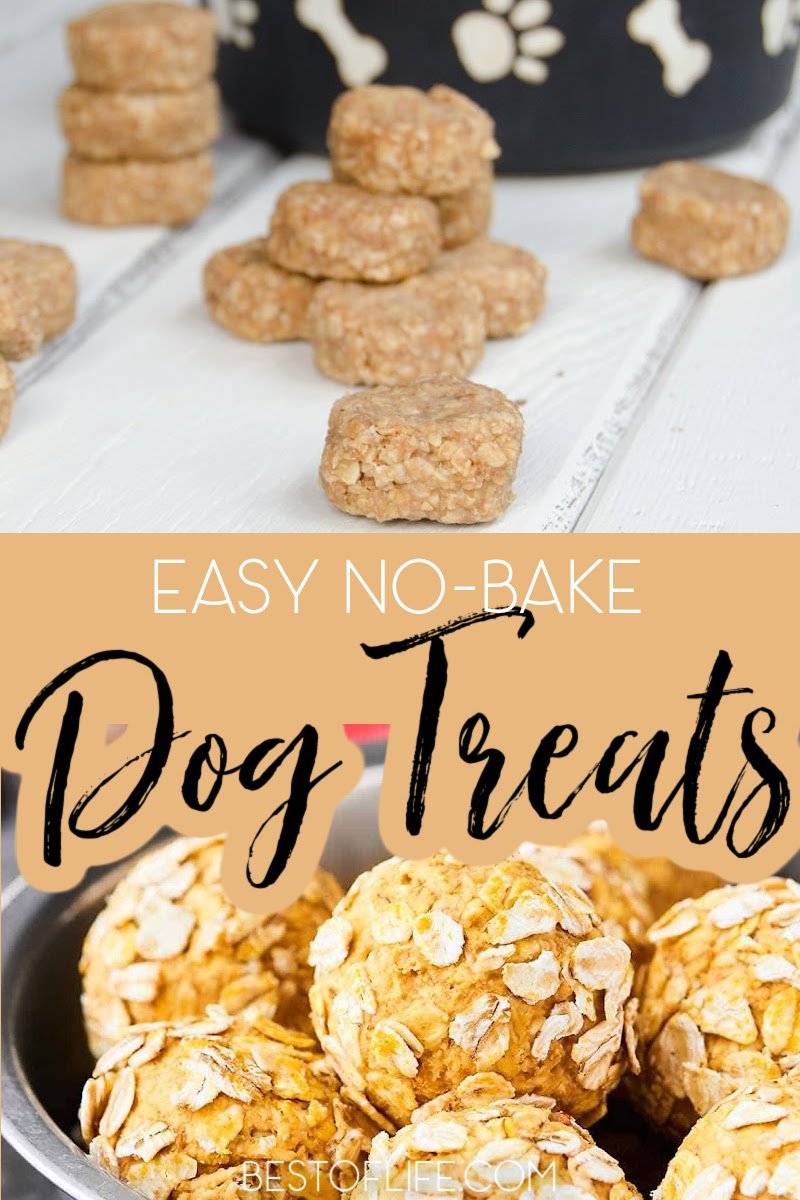 You can save a lot of money on dog treats when you learn how to make these healthy no bake dog treats right at home for your dog or cat. No Bake Dog Treats Without Peanut Butter | No Bake Dog Treats with Coconut Oil | No Bake Banana Dog Treats | 2 Ingredient Dog Treats | Dog Treat Recipes | Homemade Dog Treats | Cheap Dog Treats | Tips for Dog Owners | DIY Dog Treats | Recipes for Pet Owners | Recipes for Pets #dogtreats #petrecipes via @thebestoflife