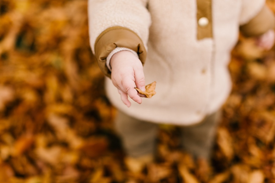 Cozy Fall Kitchen Decor Close Up of a Kid Holding a Fall Leaf