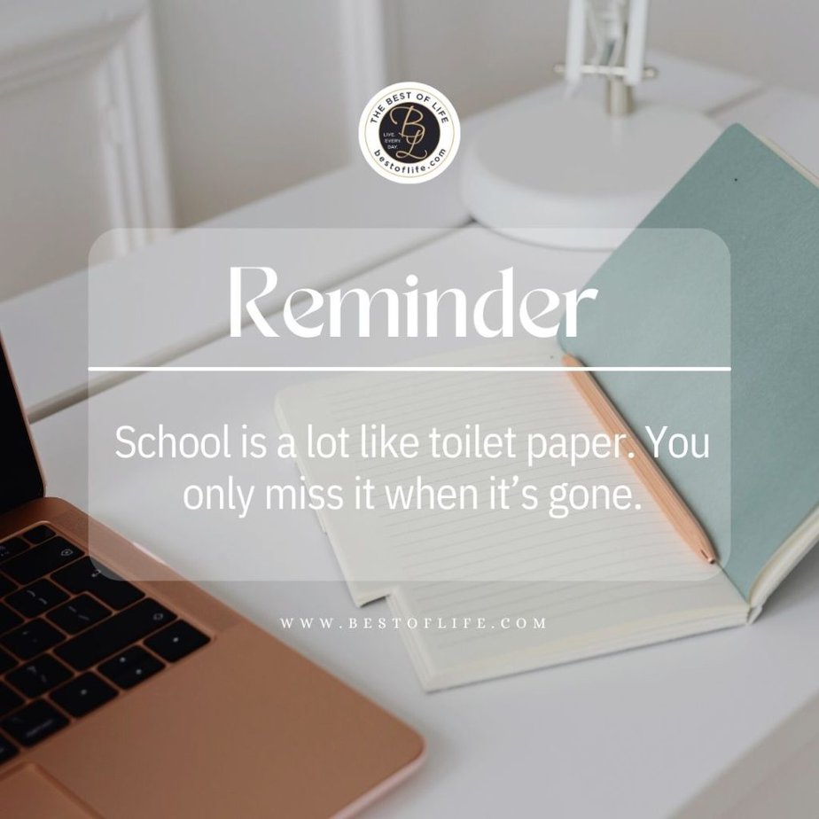 Funny Back to School Memes Reminder: School is a lot like toilet paper. You only miss it when it’s gone.