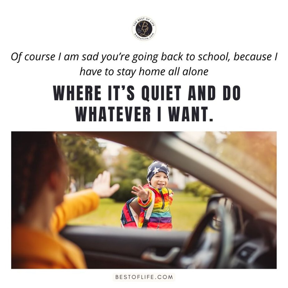 Funny Back to School Memes Of course I am sad you’re going back to school, because I have to stay home all alone where it’s quiet and do whatever I want.