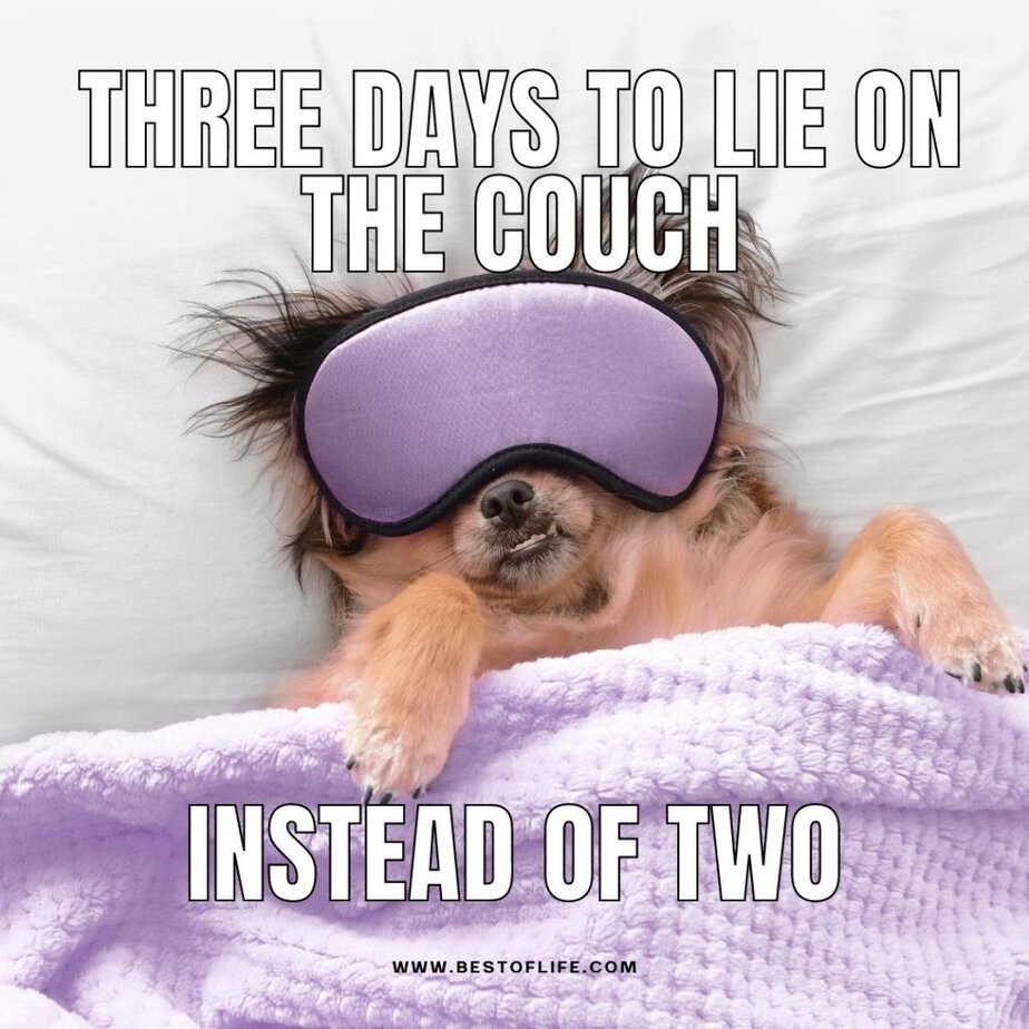 Funny Labor Day Weekend Memes to Enjoy from Bed Three days to lie on the couch instead of two.