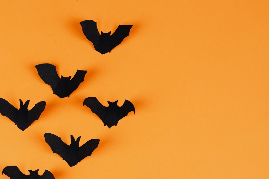 Indoor Halloween Decor Ideas Close Up of Felt Bats on an Orange Wall