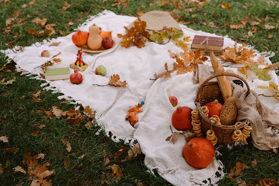 Fall Door Signs a Picnic Blanket on Grass With Fall Leaves Scattered Around and Small Pumpkins
