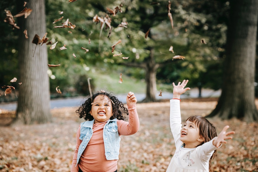 Fall Door Signs Two Little Girls Playing in Fall Leaves