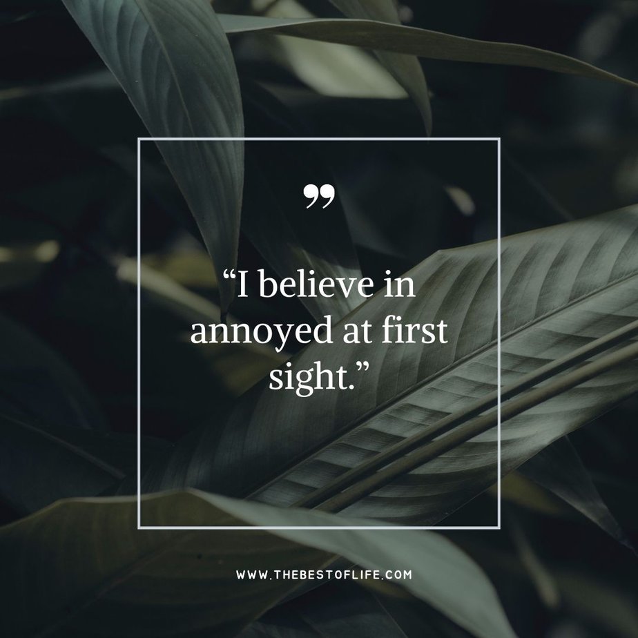 Great Quotes when you are Feeling Sarcastic "I believe in annoyed at first sight."