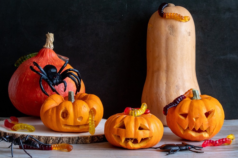 Halloween Jello Shots Recipes Three Small Jack-O-Lanterns Next to Bigger Squashes with a Fake Spider Crawling on Them