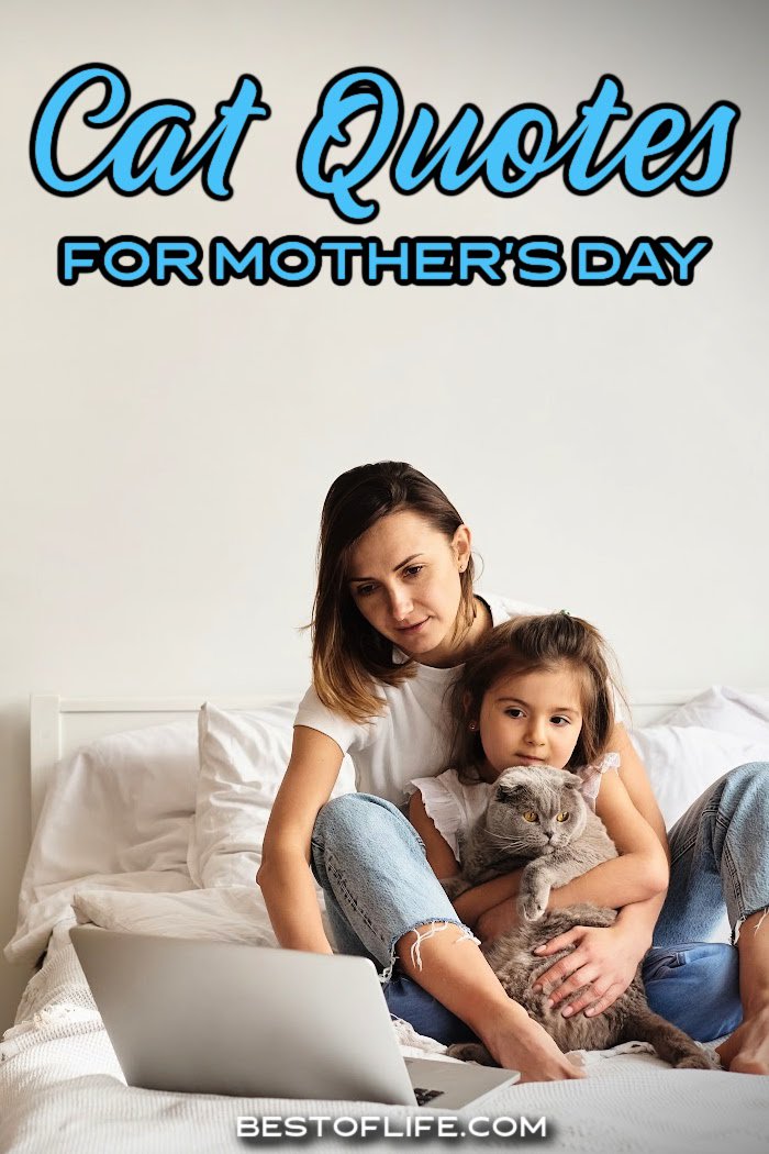 Cat quotes for Mother’s Day can be used in all sorts of ways with the most important one being to express your love and appreciation. Mother’s Day Quotes from Daughter | Mother’s Day Quotes for Everyone | Funny Quotes with Cats | Mother’s Day Quotes from Cats | Quotes for Cat People | Cat People Quotes