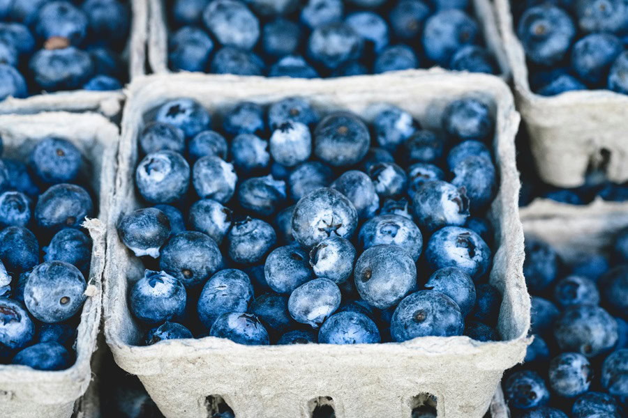 Best Starbucks Refreshers Drinks Close Up of a Basket of Blueberries