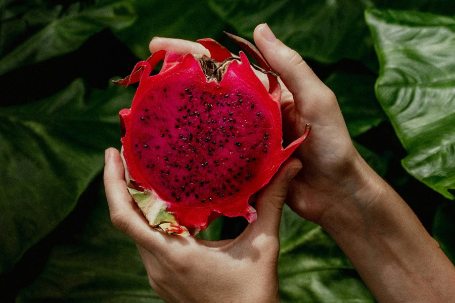 Best Starbucks Refreshers Drinks a Person Holding Up Half a Dragon Fruit