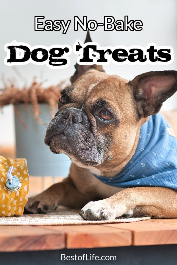 You can save a lot of money on dog treats when you learn how to make these healthy no bake dog treats right at home for your dog or cat. No Bake Dog Treats Without Peanut Butter | No Bake Dog Treats with Coconut Oil | No Bake Banana Dog Treats | 2 Ingredient Dog Treats | Dog Treat Recipes | Homemade Dog Treats | Cheap Dog Treats | Tips for Dog Owners | DIY Dog Treats | Recipes for Pet Owners | Recipes for Pets via @thebestoflife