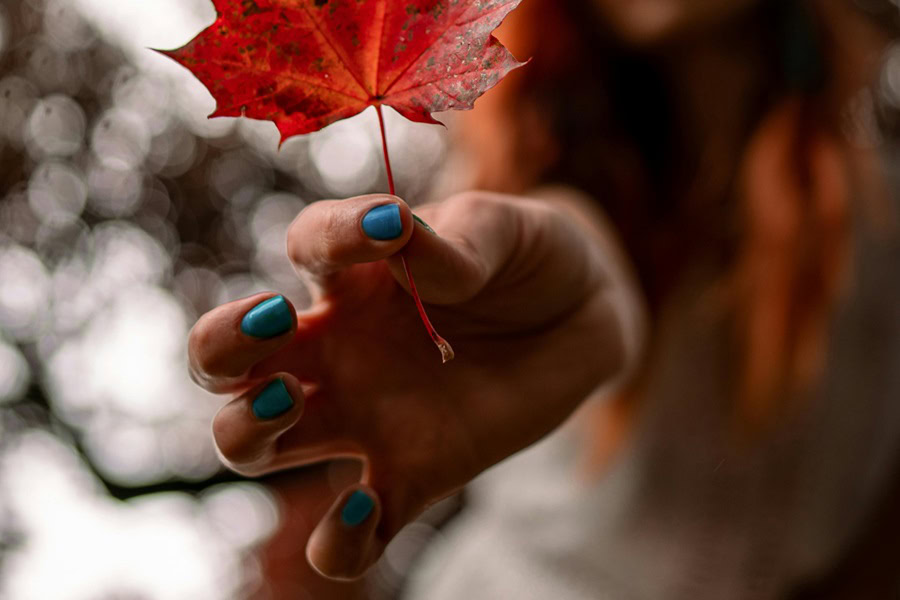 Fall Nails for the Autumn Season a Woman's Fingers Holding a Leaf with Deep Blue Nails