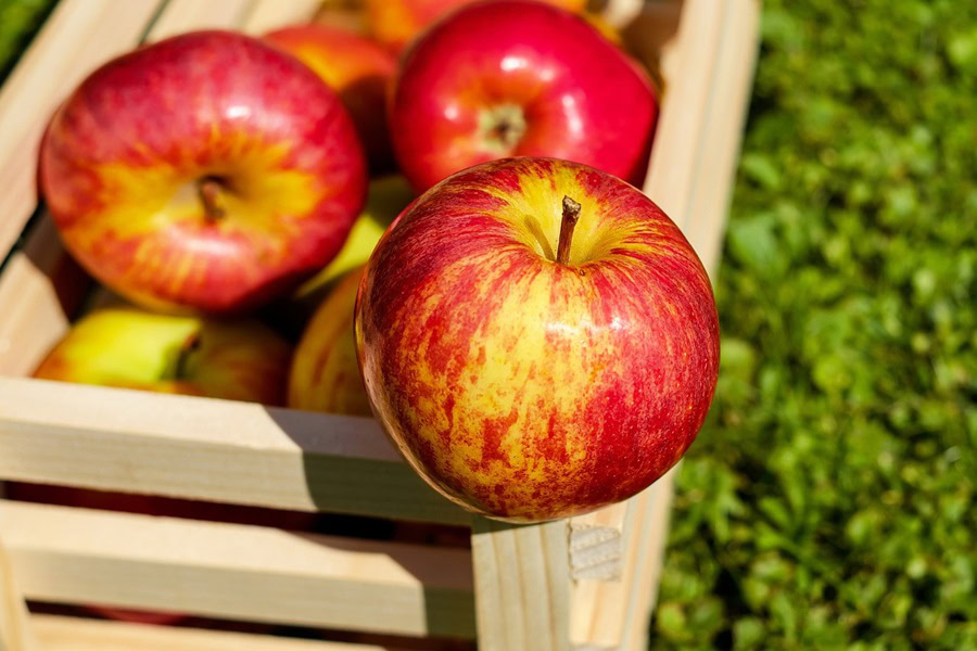 Big Batch Cocktails for Fall Red Apples in a Wooden Crate Sitting on Grass