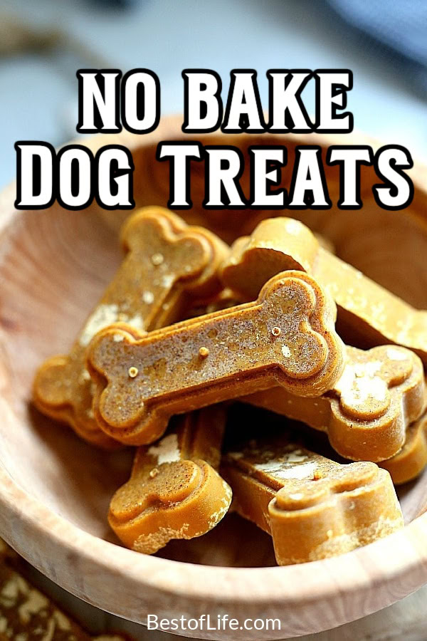 You can save a lot of money on dog treats when you learn how to make these healthy no bake dog treats right at home for your dog or cat. No Bake Dog Treats Without Peanut Butter | No Bake Dog Treats with Coconut Oil | No Bake Banana Dog Treats | 2 Ingredient Dog Treats | Dog Treat Recipes | Homemade Dog Treats | Cheap Dog Treats | Tips for Dog Owners | DIY Dog Treats | Recipes for Pet Owners | Recipes for Pets via @thebestoflife