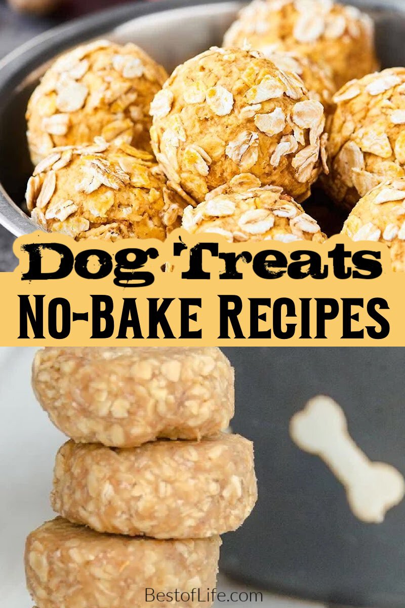 You can save a lot of money on dog treats when you learn how to make these healthy no bake dog treats right at home for your dog or cat. No Bake Dog Treats Without Peanut Butter | No Bake Dog Treats with Coconut Oil | No Bake Banana Dog Treats | 2 Ingredient Dog Treats | Dog Treat Recipes | Homemade Dog Treats | Cheap Dog Treats | Tips for Dog Owners | DIY Dog Treats | Recipes for Pet Owners | Recipes for Pets via @thebestoflife