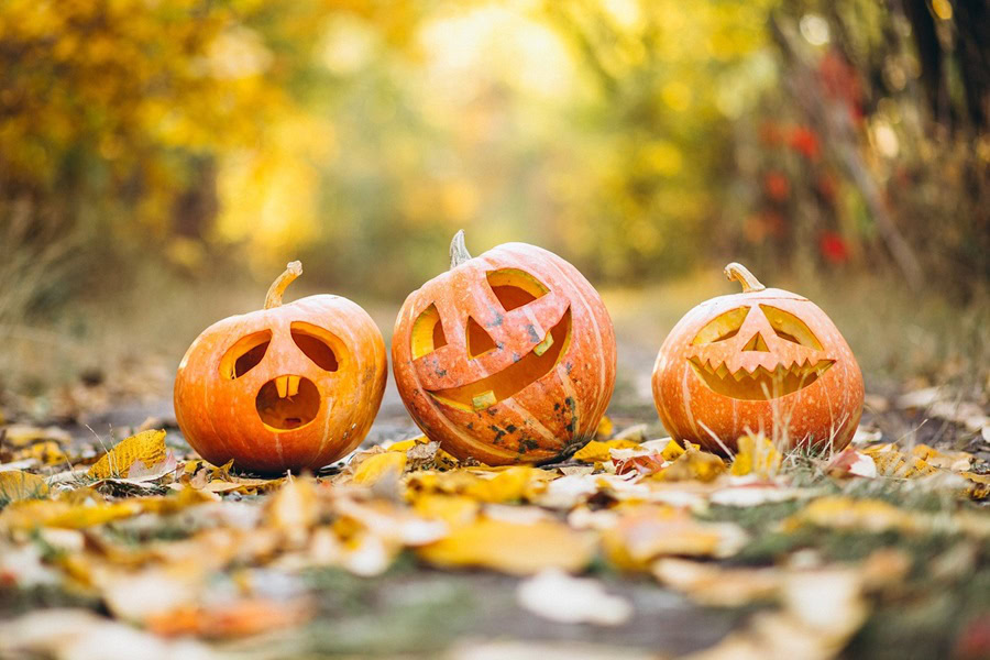 Cut Out Printable Halloween Crafts Three Jack O Lanterns on a Road Covered in Fall Leaves