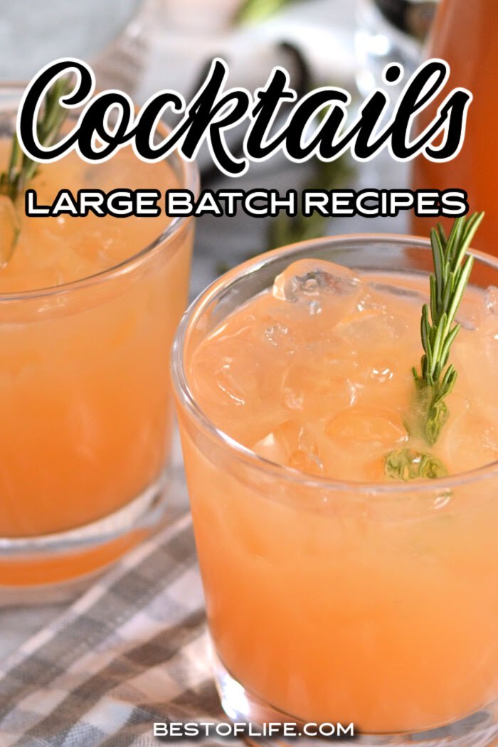 Large batch cocktails are perfect party recipes that can help you host the best party with the best party drink recipes. Party Recipes | Drink Recipes for Parties | Cocktail Recipes for Parties | Pitcher Cocktails for a Crowd | Pitcher Cocktail Recipes | Cocktails for a Crowd | Party Tips | Easy Party Ideas | Easy Party Recipes | Drinks for Parties | Tequila Cocktails for Parties | Vodka Cocktails for Parties | Rum Cocktails for a Crowd via @thebestoflife