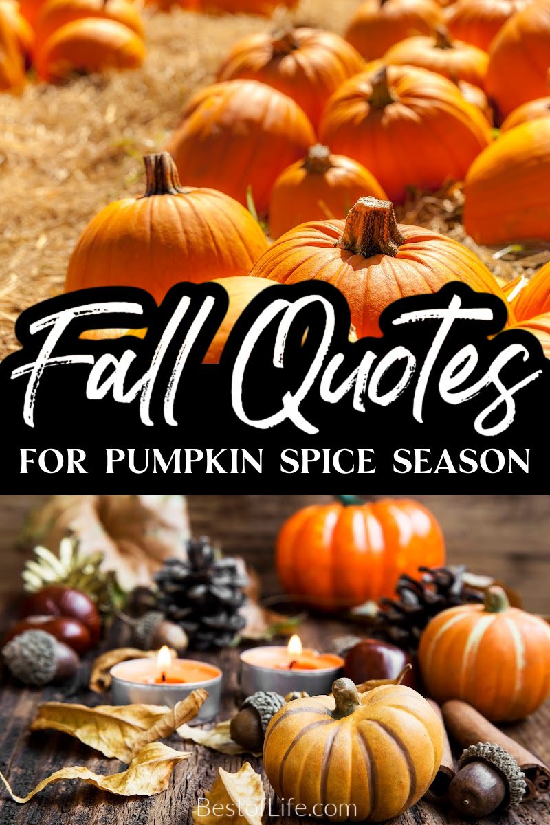 The best fall quotes for pumpkin spice season are perfect for helping us get in the fall mindset to enjoy every moment more thoroughly. Quotes About Fall | Quotes for Fall | Autumn Quotes | Quotes for Autumn | Quotes About Pumpkin Spice | Pumpkin Spice Quotes | Quotes for October | October Quotes | November Quotes via @thebestoflife