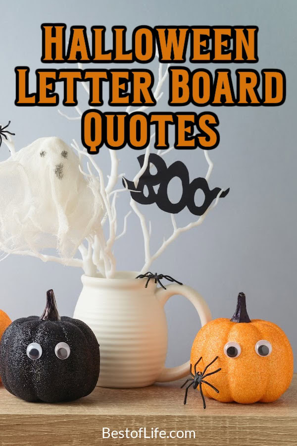 Liven up your Halloween party decor with Halloween letter board quotes, or use them as DIY Halloween decor for October. Halloween Quotes | Quotes for Halloween | Spooky Quotes for Halloween | Funny Halloween Quotes | Halloween Letter Board Ideas | Letter Board Ideas for Halloween | DIY Halloween Decor | Simple Halloween Decor | Halloween Party Ideas | Theming for Halloween Parties | Fun Halloween Party Quotes | Sayings for Halloween Party Toasts via @thebestoflife