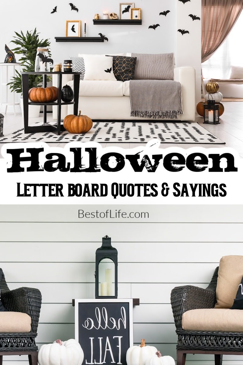 Liven up your Halloween party decor with Halloween letter board quotes, or use them as DIY Halloween decor for October. Halloween Quotes | Quotes for Halloween | Spooky Quotes for Halloween | Funny Halloween Quotes | Halloween Letter Board Ideas | Letter Board Ideas for Halloween | DIY Halloween Decor | Simple Halloween Decor | Halloween Party Ideas | Theming for Halloween Parties | Fun Halloween Party Quotes | Sayings for Halloween Party Toasts via @thebestoflife