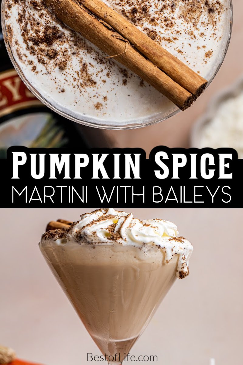 The best pumpkin spice martini with Baileys recipe can get you in the mood for the season as one of the best fall cocktails. Cocktails with Pumpkin Spice | Pumpkin Spice Cocktails | Fall Party Recipes | Fall Cocktail Recipes | Halloween Party Cocktails | Cocktails for Halloween | Halloween Cocktails | Halloween Party Drinks | Drinks for Fall | Fall Drink Recipes via @thebestoflife