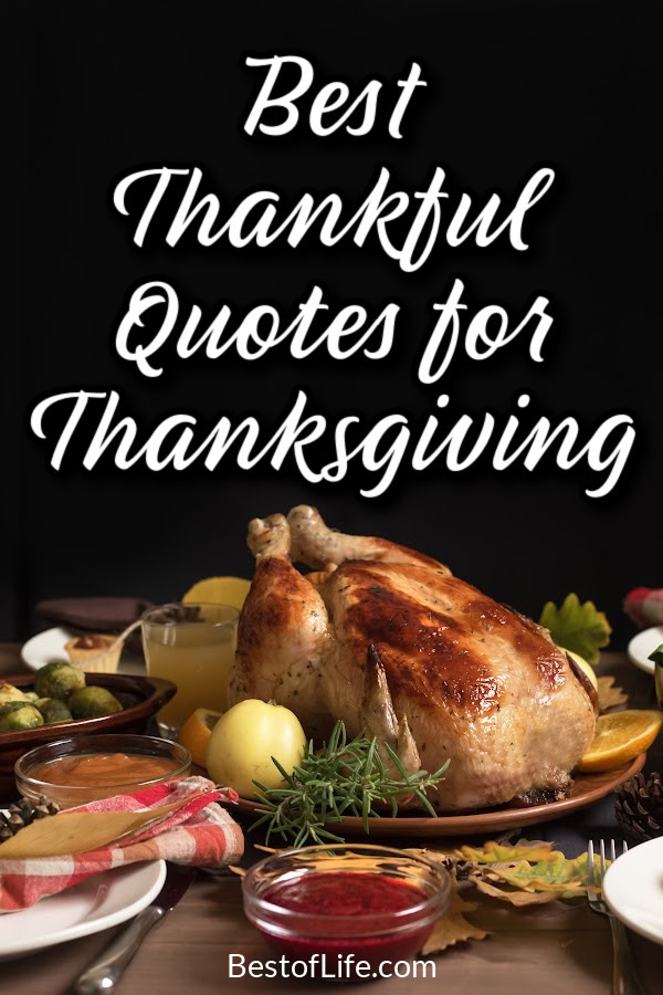 Thankful quotes for Thanksgiving pair nicely with turkey and can help you express your attitude of gratitude to those you love. Quotes About Thanksgiving | Gratitude Quotes | Quotes About Gratitude | Quotes About Being Thankful | Inspirational Quotes for All Ages | Motivational Quotes for All Ages via @thebestoflife