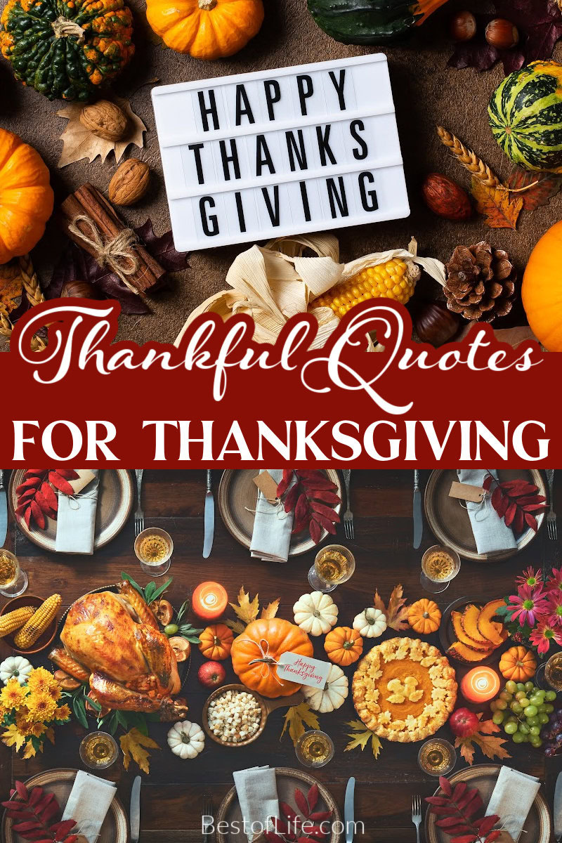 Thankful quotes for Thanksgiving pair nicely with turkey and can help you express your attitude of gratitude to those you love. Quotes About Thanksgiving | Gratitude Quotes | Quotes About Gratitude | Quotes About Being Thankful | Inspirational Quotes for All Ages | Motivational Quotes for All Ages via @thebestoflife