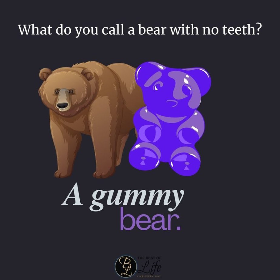 Funny Backpacking Quotes What do you call a bear with no teeth? A gummy bear.