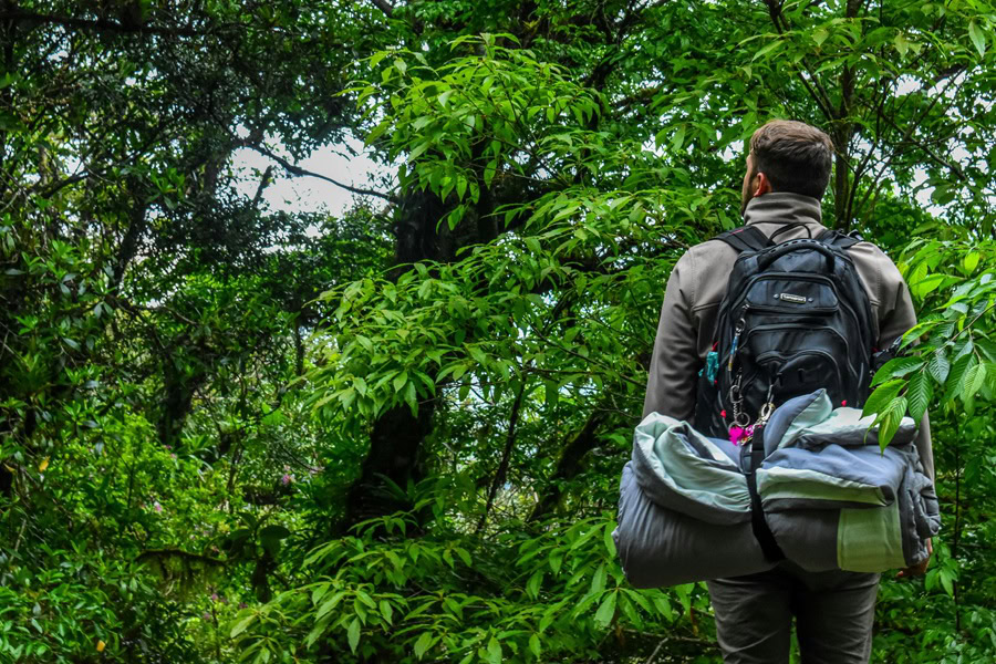 Funny Backpacking Quotes a Man Hiking Through a Forest Wearing a Hiking Backpack Looking Up at the Trees