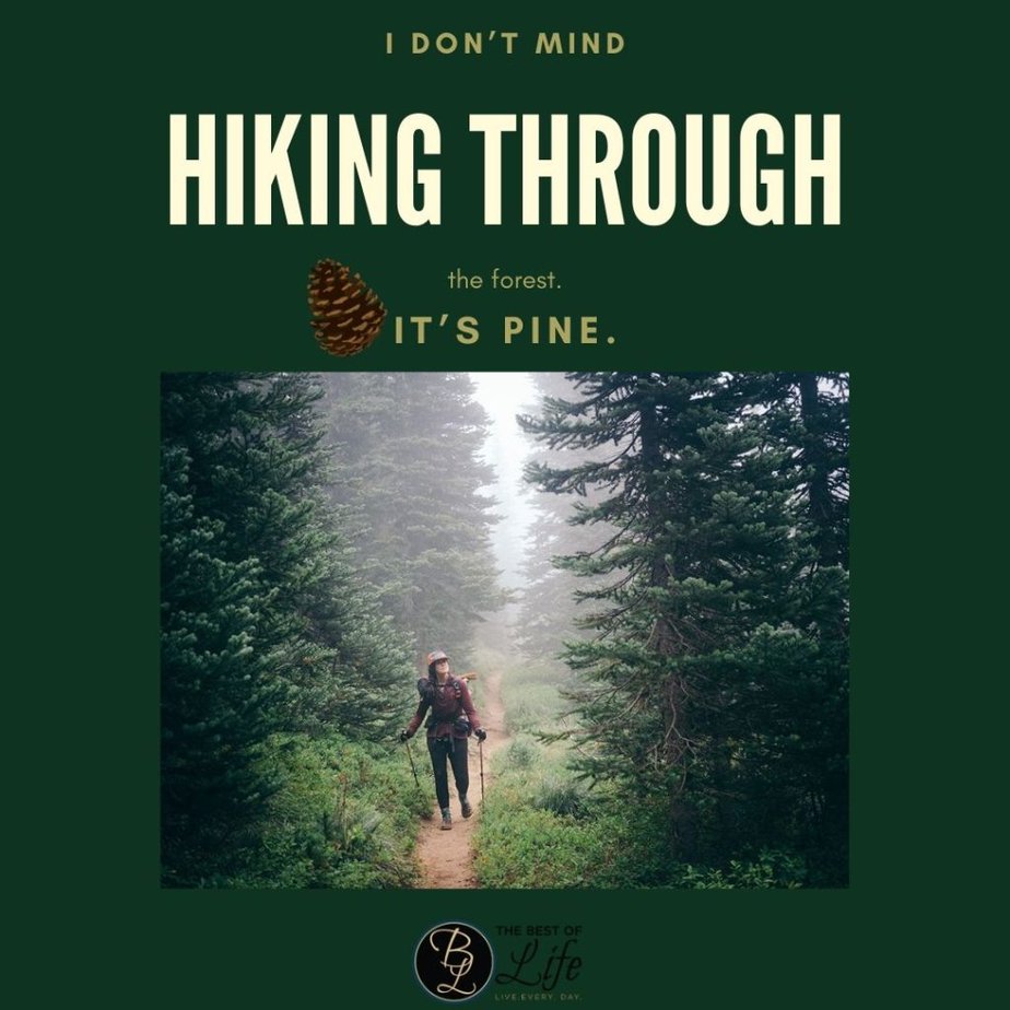 Funny Backpacking Quotes I don't mind hiking through the forest. It's pine.