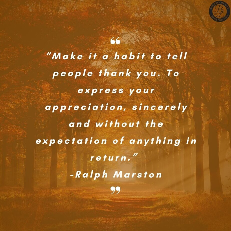 Thankful Quotes for Thanksgiving “Make it a habit to tell people thank you. To express your appreciation, sincerely and without the expectation of anything in return.” -Ralph Marston