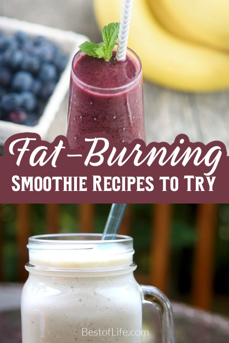 Lose weight, stay fit, and eat healthy with the help of fat burning smoothies that can replace a meal like breakfast, lunch or dinner. Best Fat Burning Smoothie Recipes | Best Fat Burning Smoothies | Easy Fat Burning Smoothie Recipes | Weight Loss Recipes | Meal Replacement Smoothies | Tips for Losing Weight | Smoothie Recipes for Weight loss via @thebestoflife