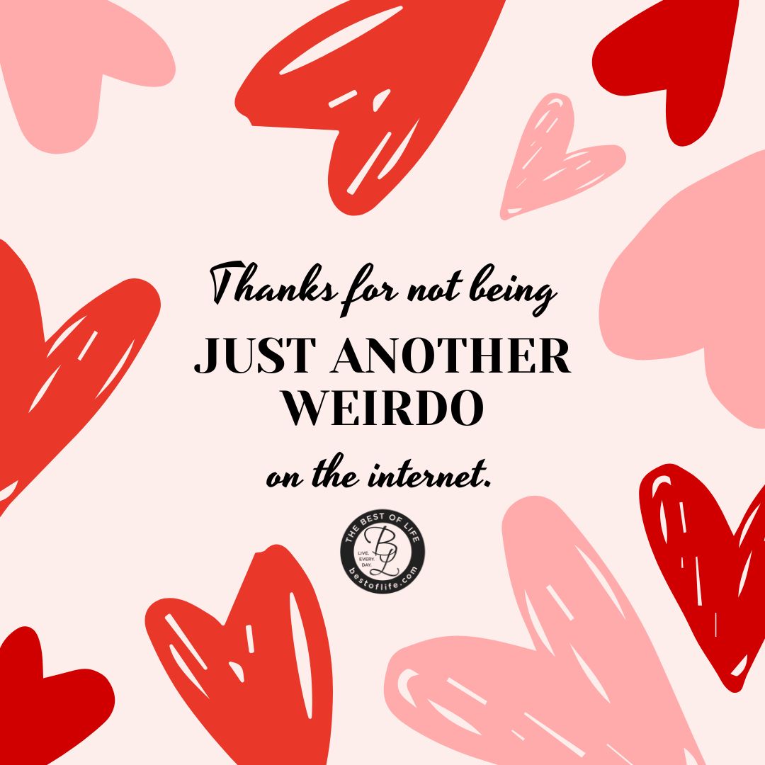 Sarcastic Valentines Day Quotes  Thanks for not being just another weirdo on the internet.