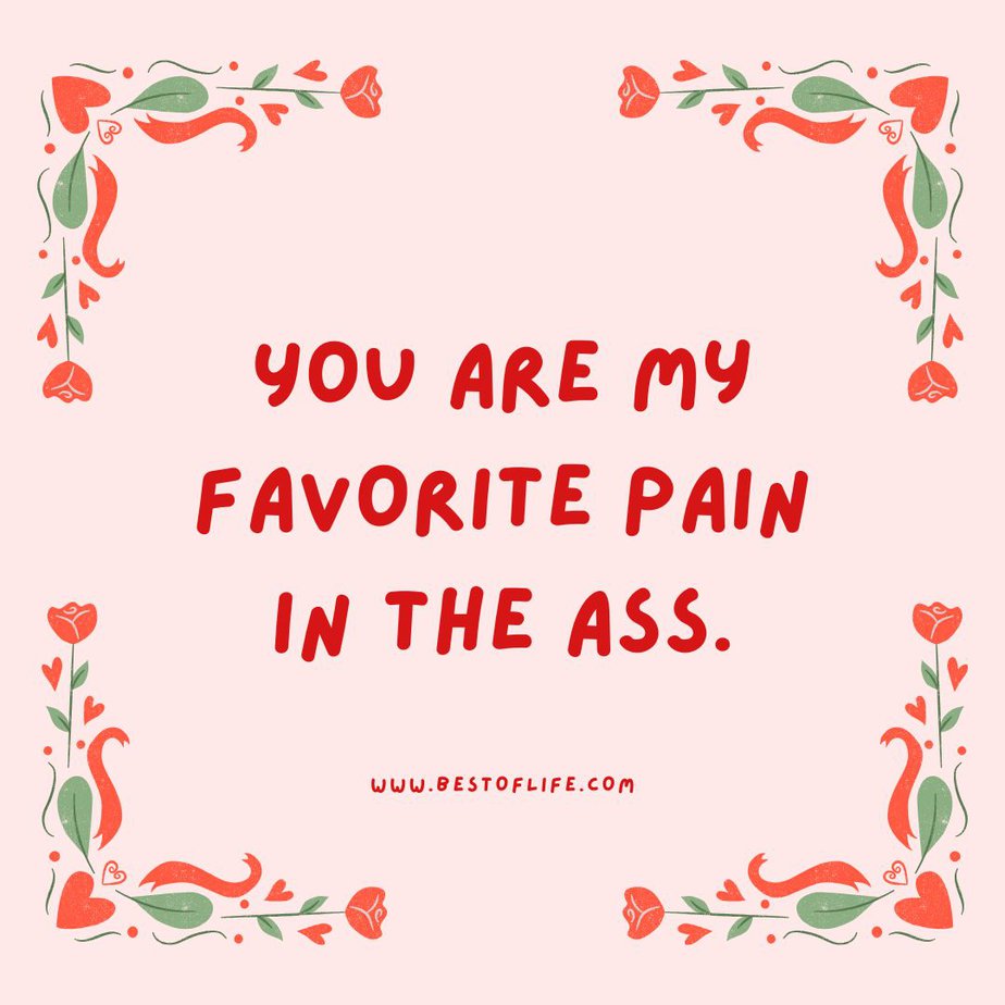 Sarcastic Valentines Day Quotes You are my favorite pain in the ass.