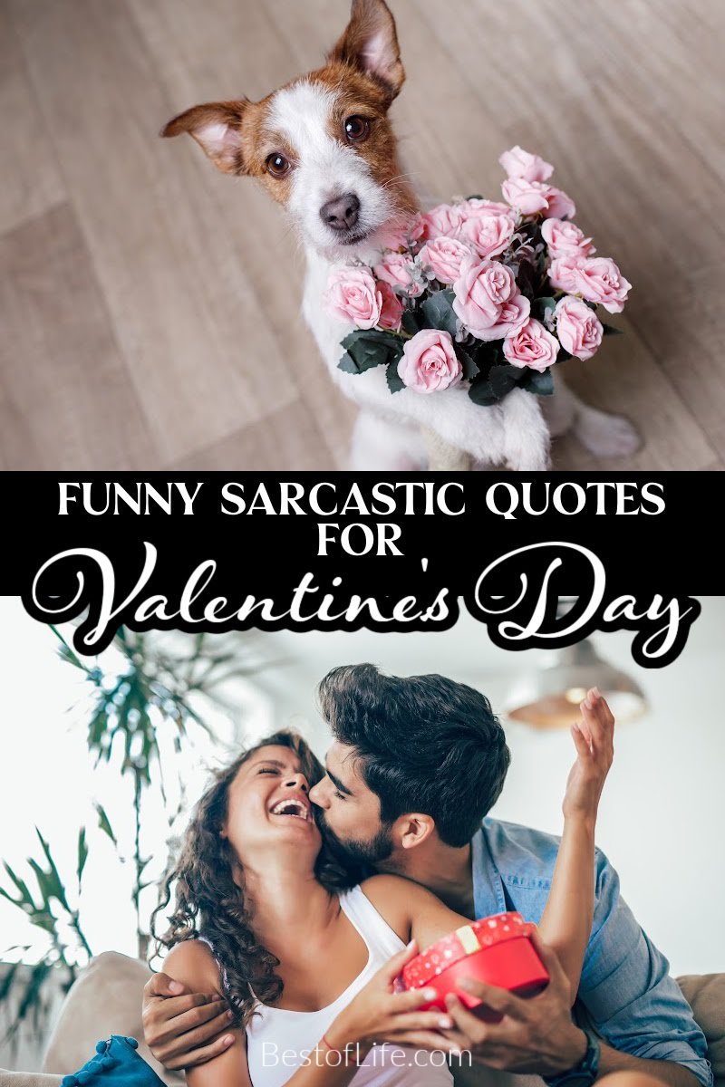 These sarcastic Valentines Day quotes can either inspire or motivate relationships; the choice is yours. Funny Valentines Day Quotes | Funny Quotes About Love Funny Quotes for Couples | Sarcastic Quotes About Love | Sarcastic Quotes for Couples | Funny Things to Text Him | Funny Things to Text Her | Valentines Day Quotes to Make You Laugh | Love Quotes Funny | Valentines Day Quotes Funny via @thebestoflife