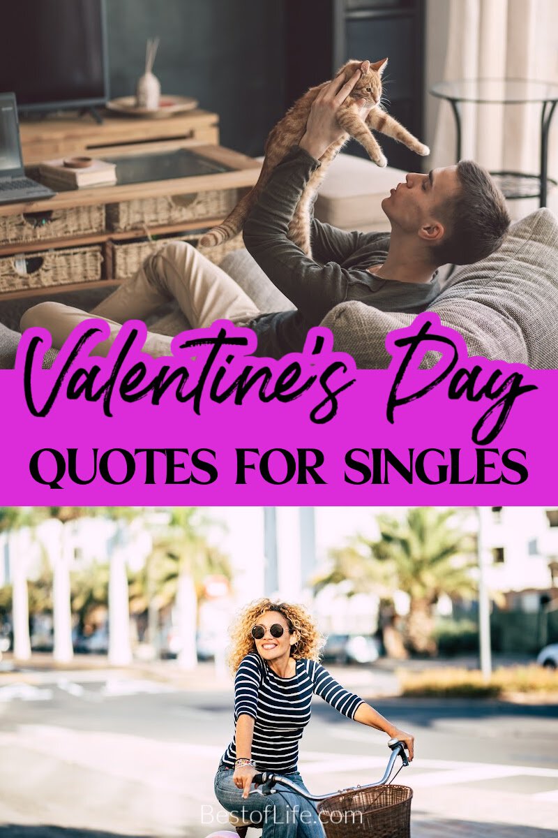 Valentines memes for singles help you forget about Valentines Day gifts you won’t get or Valentines dinner recipes you won’t need. Funny Quotes for Singles | Funny Valentines Quotes for Singles | Valentines Day Memes | Quotes for Single People | Memes for Valentines Day | Funny Sayings About Love | Funny Quotes About Love | Love Quotes for Single People via @thebestoflife