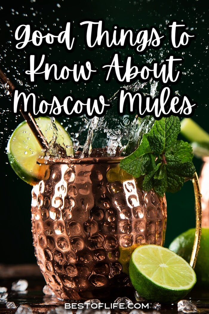 Some of the best things to know about Moscow Mules tell you more about the cocktail making process. Sometimes the best ideas are out of desperation. Cocktail Recipes | Cocktails with Beer | Beer Cocktails | Moscow Mule History | Moscow Mule Tips | Moscow Mule Recipes via @thebestoflife