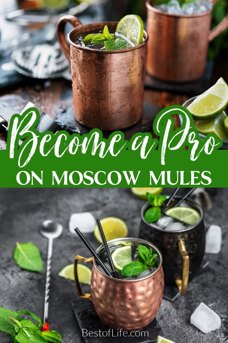 Some of the best things to know about Moscow Mules tell you more about the cocktail making process. Sometimes the best ideas are out of desperation. Cocktail Recipes | Cocktails with Beer | Beer Cocktails | Moscow Mule History | Moscow Mule Tips | Moscow Mule Recipes via @thebestoflife