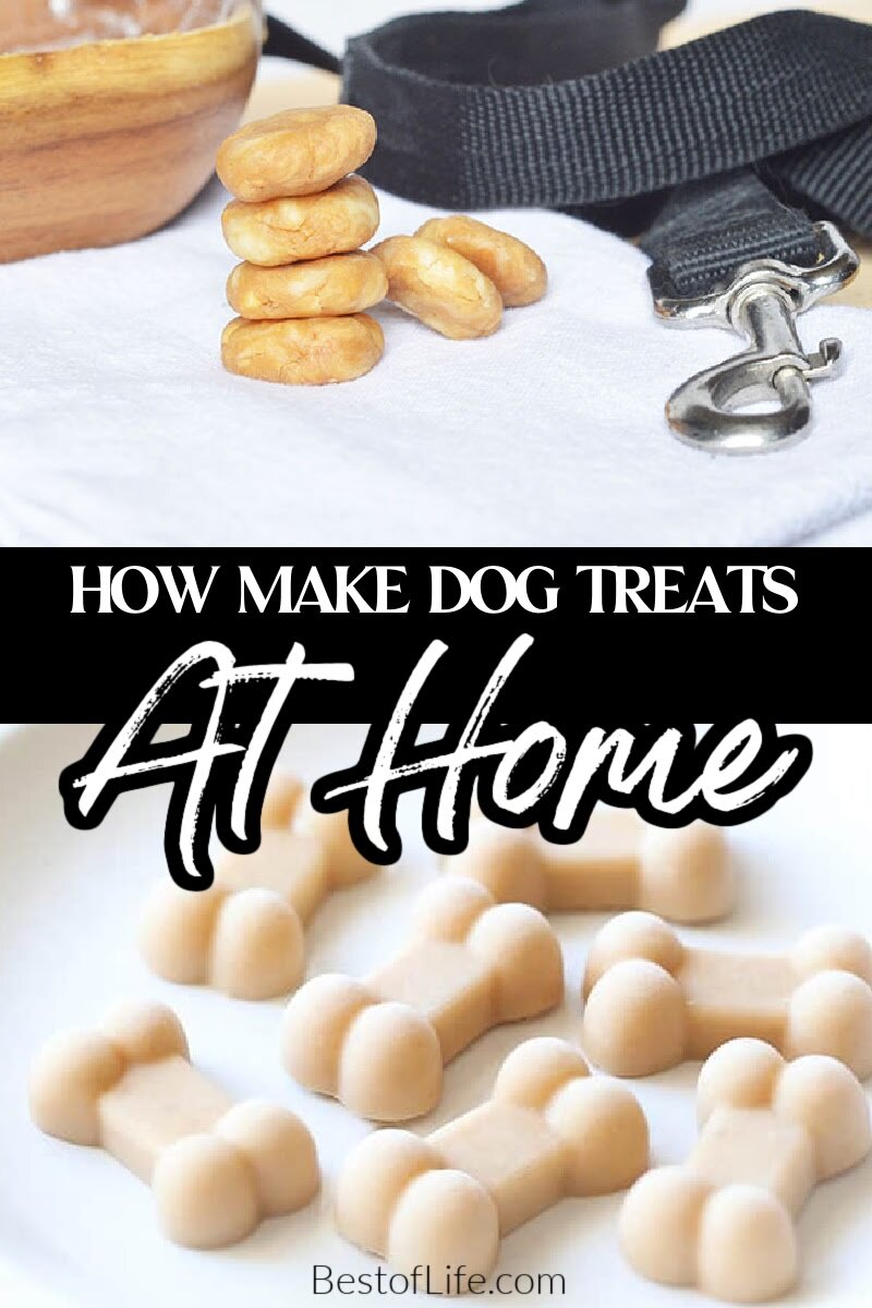 You can save a lot of money on dog treats when you learn how to make these healthy no bake dog treats right at home for your dog or cat. No Bake Dog Treats Without Peanut Butter | No Bake Dog Treats with Coconut Oil | No Bake Banana Dog Treats | 2 Ingredient Dog Treats | Dog Treat Recipes | Homemade Dog Treats | Cheap Dog Treats | Tips for Dog Owners | DIY Dog Treats | Recipes for Pet Owners | Recipes for Pets via @thebestoflife