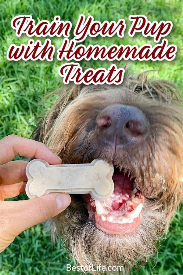You can save a lot of money on dog treats when you learn how to make these healthy no bake dog treats right at home for your dog or cat. No Bake Dog Treats Without Peanut Butter | No Bake Dog Treats with Coconut Oil | No Bake Banana Dog Treats | 2 Ingredient Dog Treats | Dog Treat Recipes | Homemade Dog Treats | Cheap Dog Treats | Tips for Dog Owners | DIY Dog Treats | Recipes for Pet Owners | Recipes for Pets