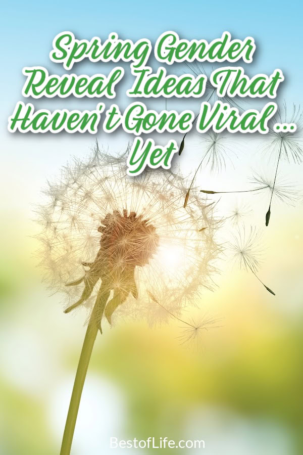 Cool gender reveal ideas for spring can help you announce the gender of your newborn to family and friends safely. Gender Reveal Party Ideas | Food for Gender Reveals | Games for Gender Reveals | Ways to Reveal the Gender | Tips for New Parents | Newborn Party Ideas | Gender Reveal Party Tips | Gender Reveal for Girls | Gender Reveal for Boys | Spring Party Ideas | Spring Baby Shower Ideas via @thebestoflife