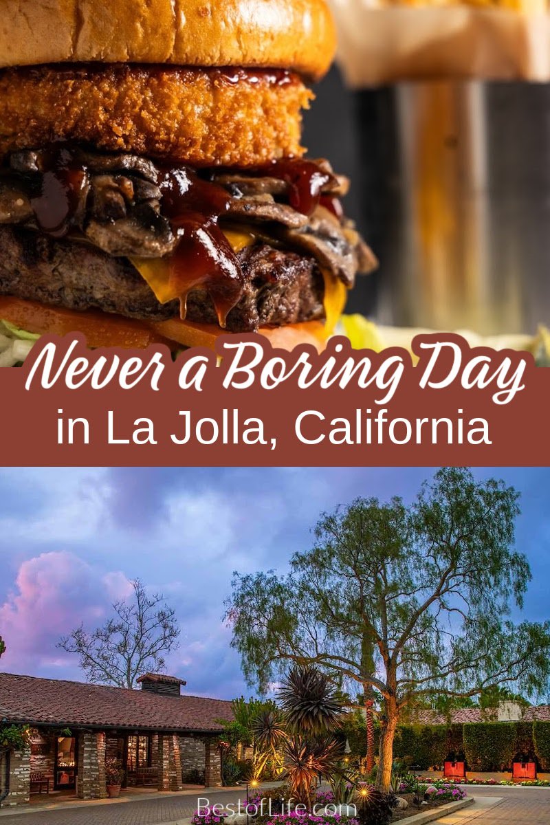 Plan your weekend around the best things to do in La Jolla California and discover what makes the jewel city shine as bright as it does. La Jolla Travel Tips |Things to do in California | Things to do in SoCal | Things to do in San Diego | San Diego Travel Tips | La Jolla Travel Tips | Summer Activities in San Diego via @thebestoflife