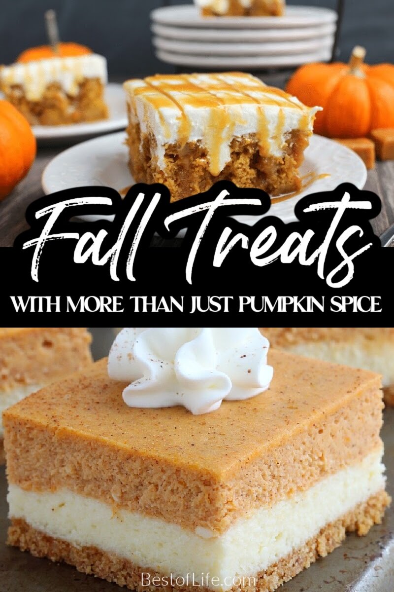 Nothing says fall like pumpkin! Enjoy these delicious pumpkin dessert recipes in fall and for Thanksgiving! Fall Recipes | Pumpkin Seed Recipes | Dessert Recipes | Easy Fall Recipes | Recipes with Pumpkin | Fall Dessert Recipes | Halloween Party Recipes | Thanksgiving Dessert Recipes | Recipes for Thanksgiving | Recipes for Halloween via @thebestoflife