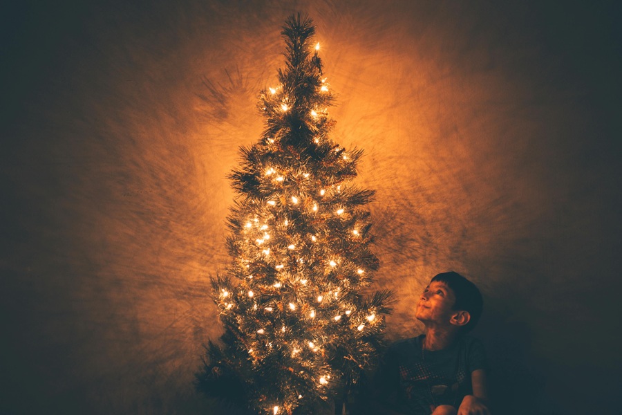 Christmas Party Food for Kids a Little Boy Standing Next to a Christmas Tree Looking Up at the Top